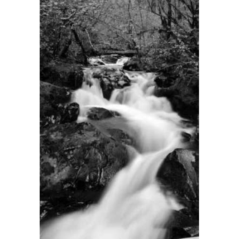 Waterfall II Poster Print by Brian Moore-VARPDXPSMRE129 Image 1