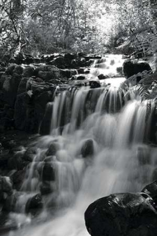 BW Falls in the Forest III Poster Print by Brian Moore-VARPDXPSMRE163 Image 1