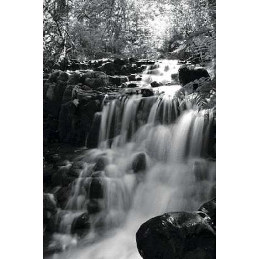 BW Falls in the Forest III Poster Print by Brian Moore-VARPDXPSMRE163 Image 2