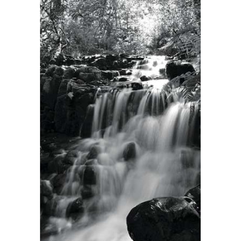 BW Falls in the Forest III Poster Print by Brian Moore-VARPDXPSMRE163 Image 1