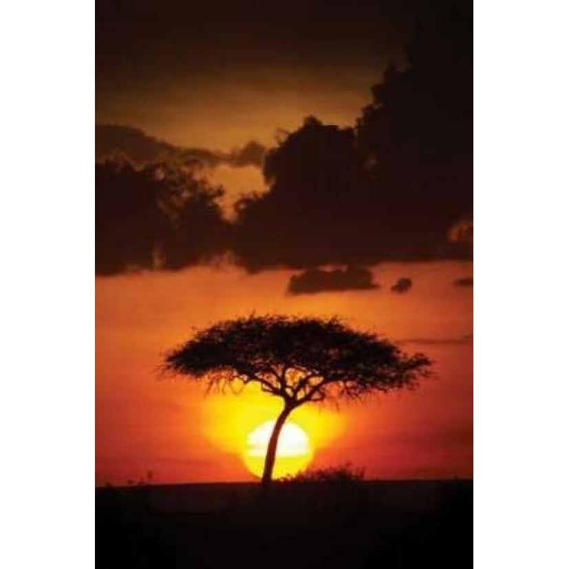 Kenya Sunrise Poster Print by Susann Parker-VARPDXPSPKR103 Image 2