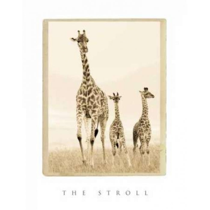 The Stroll Poster Print by Susann Parker-VARPDXPSPKR117 Image 1