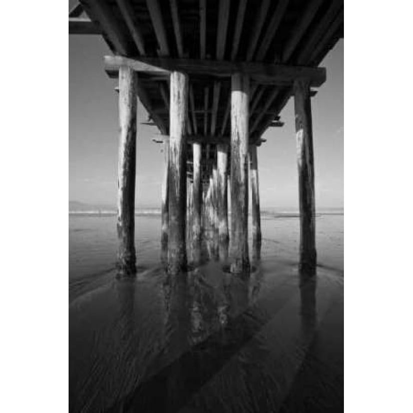 Pier Pilings XVI Poster Print by Lee Peterson-VARPDXPSPSN143 Image 1