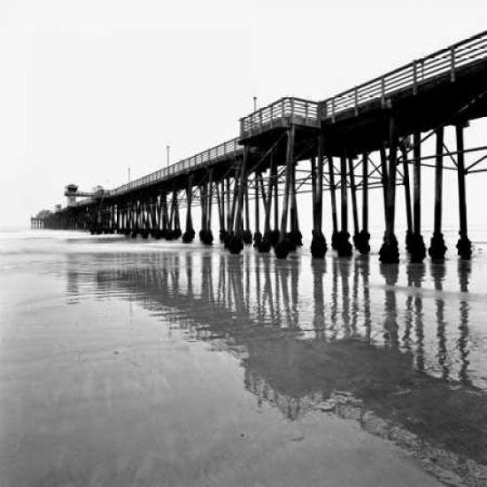 Pier Pilings XXI Poster Print by Lee Peterson-VARPDXPSPSN148 Image 1