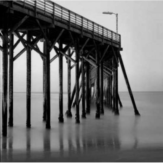 Pier Pilings XX Poster Print by Lee Peterson-VARPDXPSPSN147 Image 2