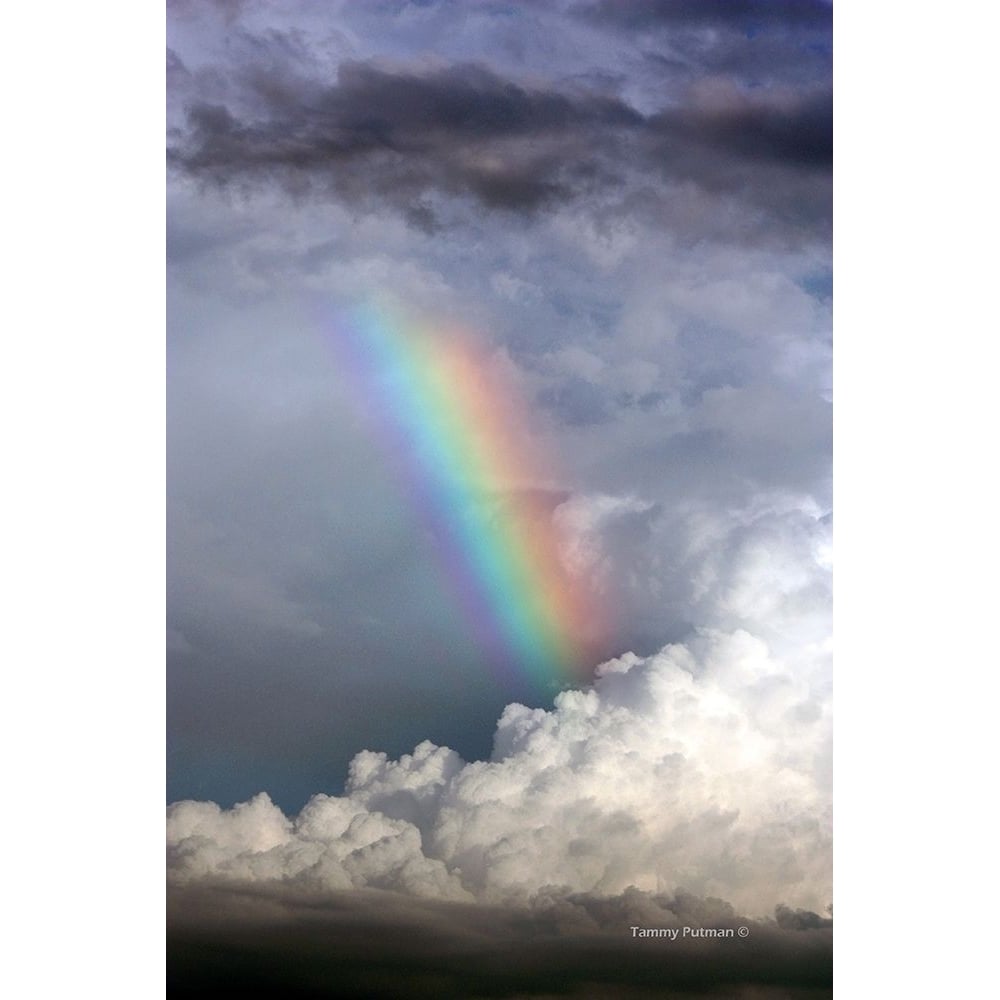 Rainbow in the Clouds by Tammy Putman-VARPDXPSPTM223 Image 1