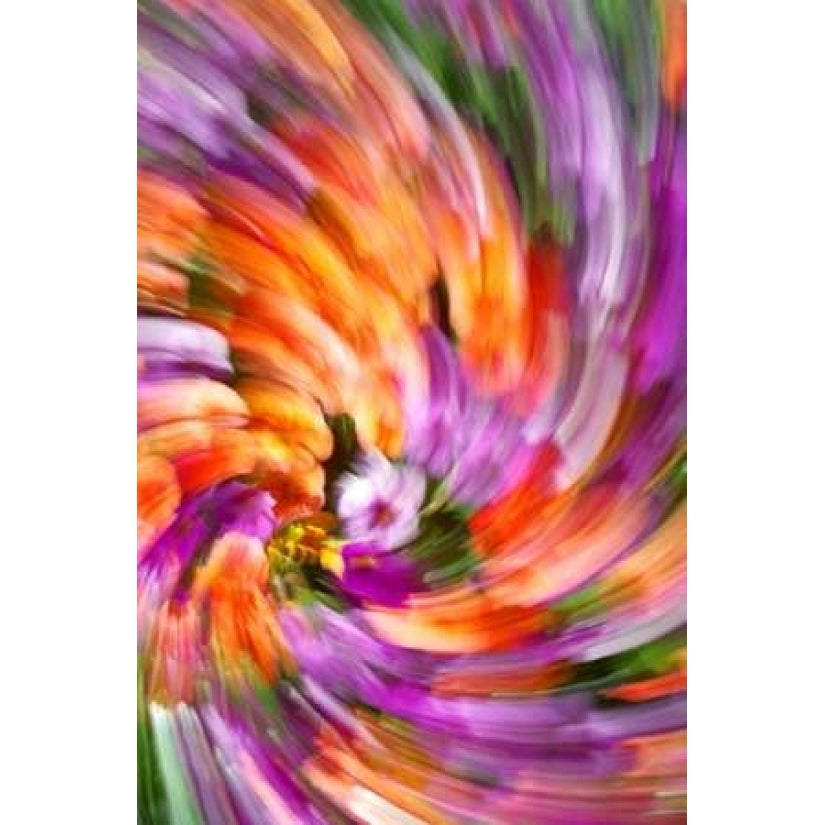 Plumage of Flowers Poster Print by Douglas Taylor-VARPDXPSTLR119 Image 2