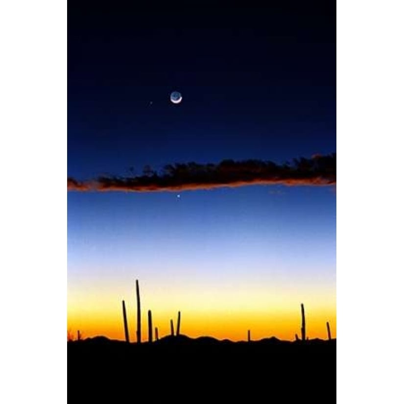 Moonrise Poster Print by Douglas Taylor-VARPDXPSTLR141 Image 1