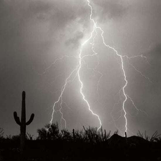 Electric Desert III - BW Poster Print by Douglas Taylor-VARPDXPSTLR174 Image 1