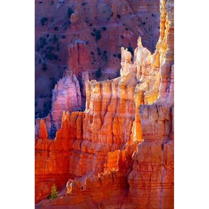 Bryce Canyon Dawn Poster Print by Douglas Taylor-VARPDXPSTLR191 Image 1