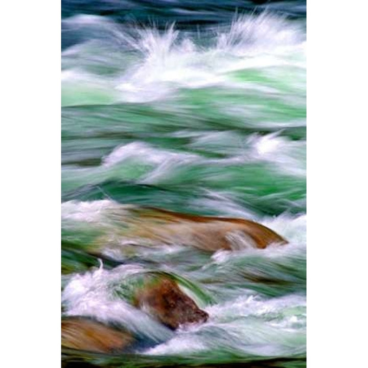 By the River II Poster Print by Douglas Taylor-VARPDXPSTLR293 Image 1