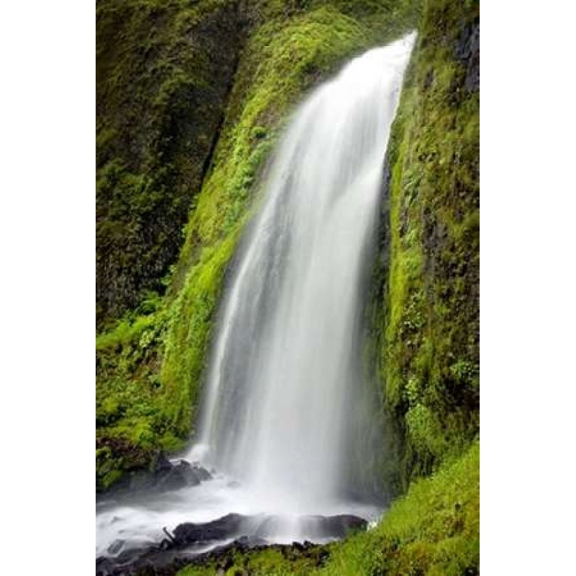 Wahkeena Falls Poster Print by Douglas Taylor-VARPDXPSTLR290 Image 1