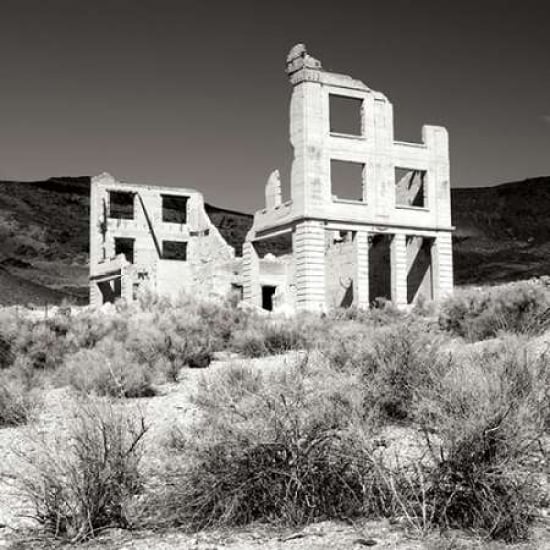 Rhyolite Ruin II BW Poster Print by Douglas Taylor-VARPDXPSTLR317 Image 2