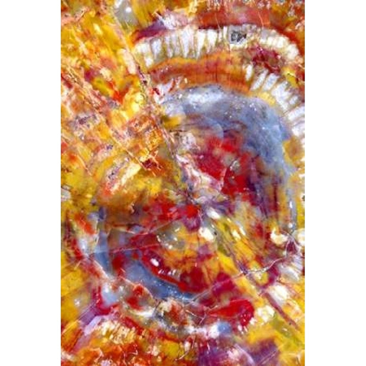 Spiral Galaxy Poster Print by Douglas Taylor-VARPDXPSTLR337 Image 2