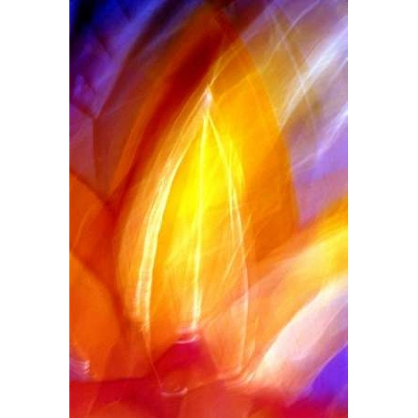 Incandescence Poster Print by Douglas Taylor-VARPDXPSTLR373 Image 2