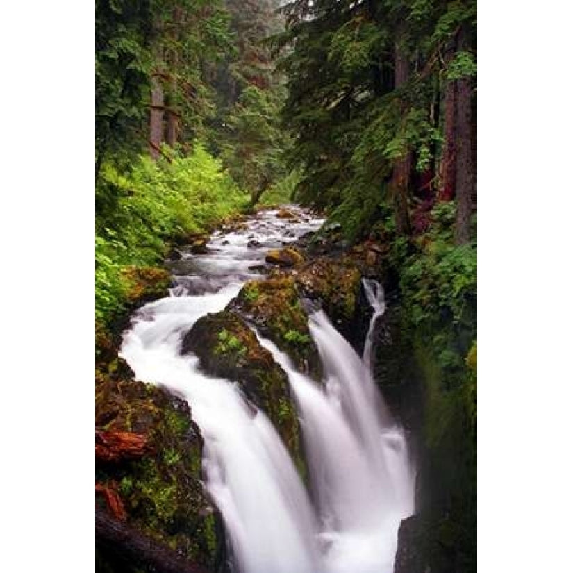 Sol Duc River Falls Poster Print by Douglas Taylor-VARPDXPSTLR610 Image 2