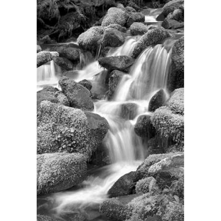 Trailside Waterfall II BW Poster Print by Douglas Taylor-VARPDXPSTLR631 Image 1