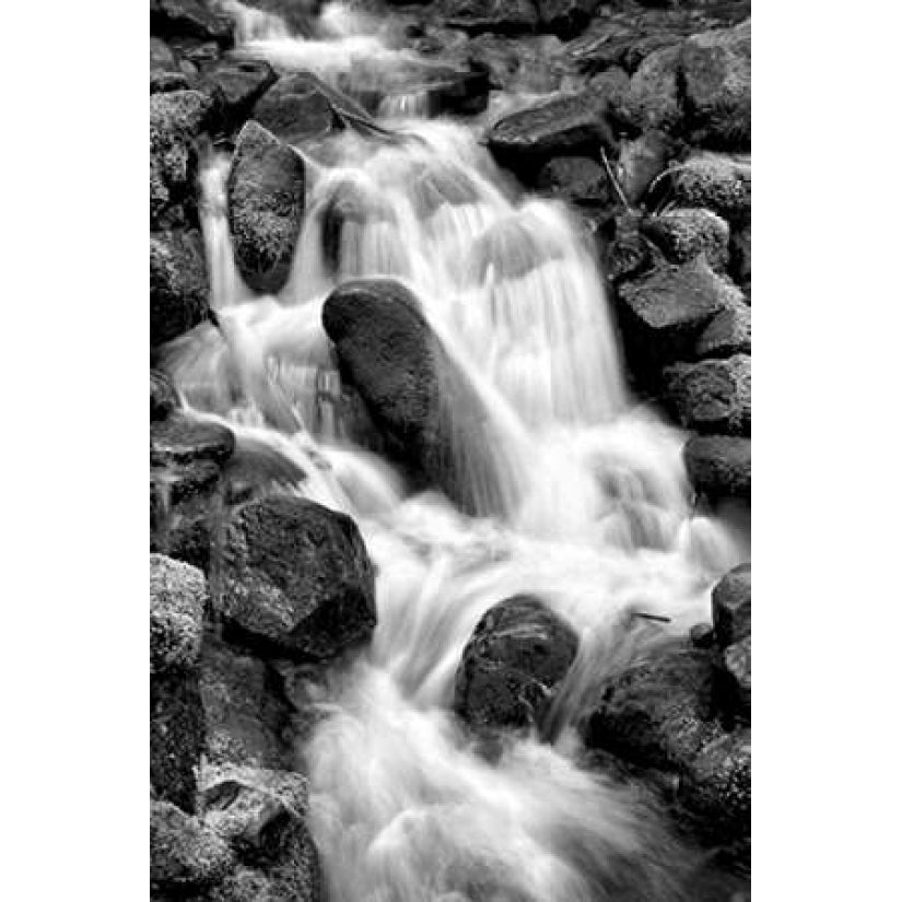 Trailside Waterfall I BW Poster Print by Douglas Taylor-VARPDXPSTLR630 Image 2