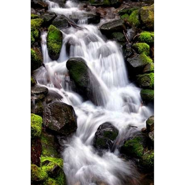 Trailside Waterfall I Poster Print by Douglas Taylor-VARPDXPSTLR626 Image 2