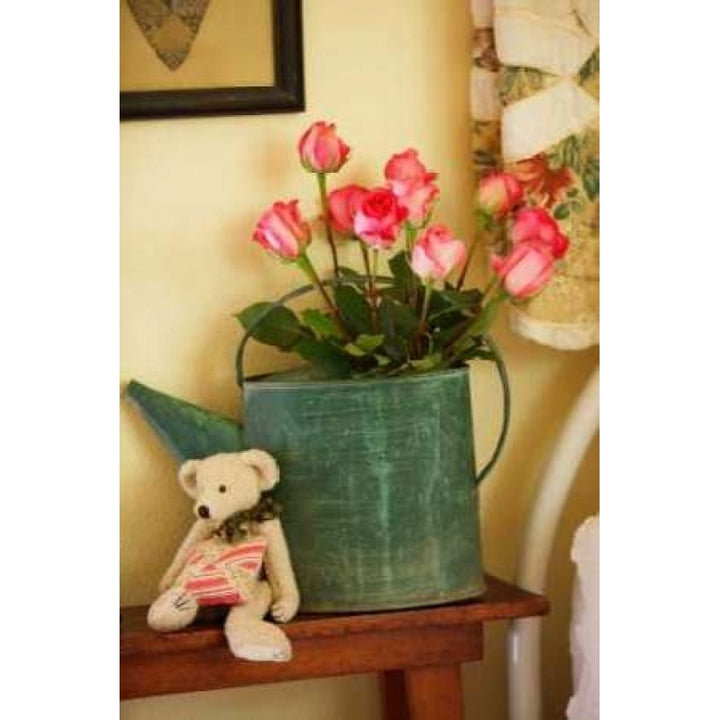 Pink Roses II Poster Print by Philip Clayton-Thompson-VARPDXPSTMP133 Image 1