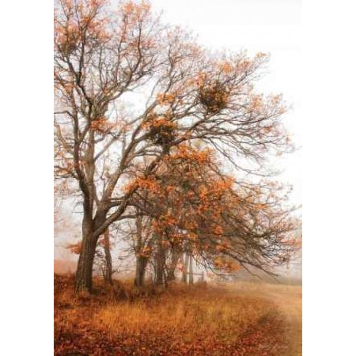 Autumn Lane Poster Print by Vitaly Geyman-VARPDXPSVIT117 Image 2