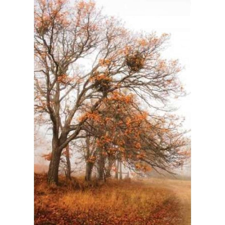 Autumn Lane Poster Print by Vitaly Geyman-VARPDXPSVIT117 Image 1