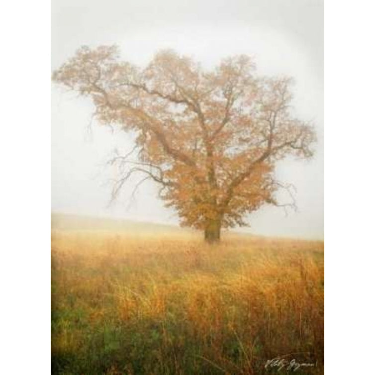 Autumn Mist II Poster Print by Vitaly Geyman-VARPDXPSVIT147 Image 1