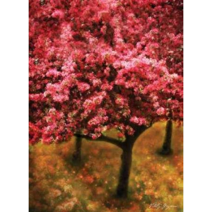 Pink Cherry Tree Poster Print by Vitaly Geyman-VARPDXPSVIT152 Image 1