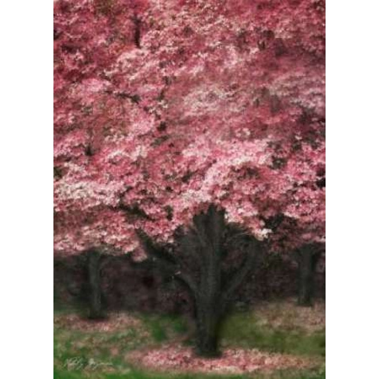 Pink Dogwood III Poster Print by Vitaly Geyman-VARPDXPSVIT157 Image 2