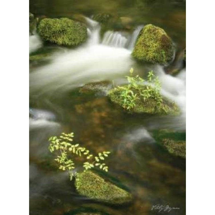 Soothing Waters III Poster Print by Vitaly Geyman-VARPDXPSVIT162 Image 2