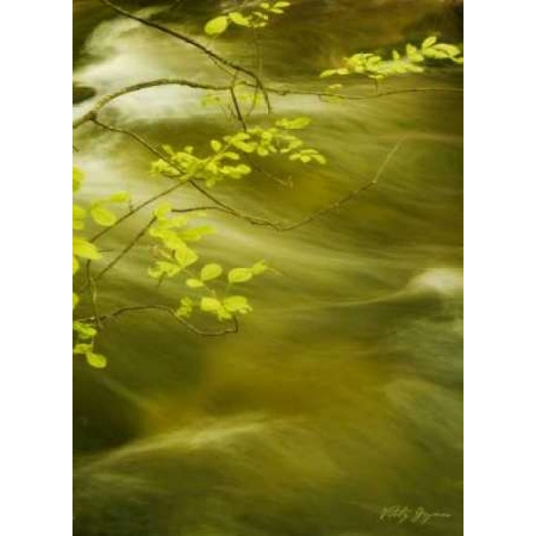 Soothing Waters VII Poster Print by Vitaly Geyman-VARPDXPSVIT166 Image 2