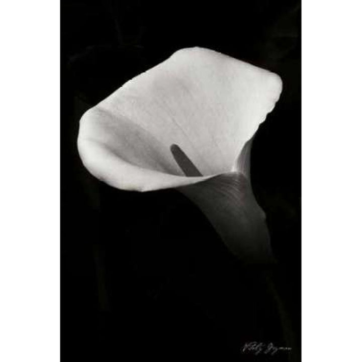 Calla Lily II Poster Print by Vitaly Geyman-VARPDXPSVIT197 Image 2