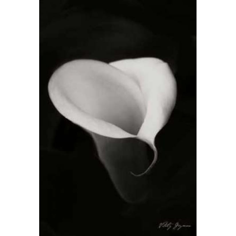 Calla Lily I Poster Print by Vitaly Geyman-VARPDXPSVIT196 Image 2