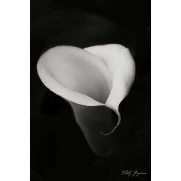 Calla Lily I Poster Print by Vitaly Geyman-VARPDXPSVIT196 Image 1