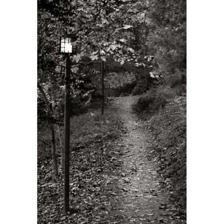 Autumn Path I BandW Poster Print by Vitaly Geyman-VARPDXPSVIT351 Image 1