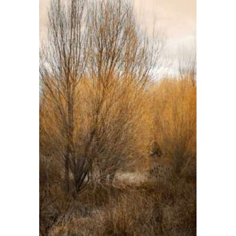 Spring Serenity II Poster Print by Vitaly Geyman-VARPDXPSVIT446 Image 1