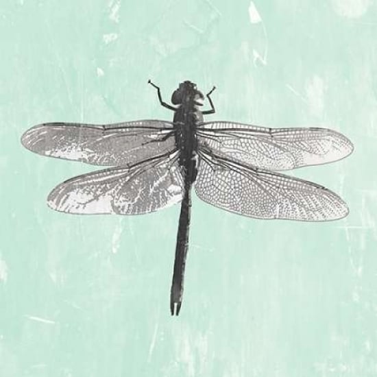 Dragonfly II Poster Print by PI Galerie-VARPDXPU030A Image 1