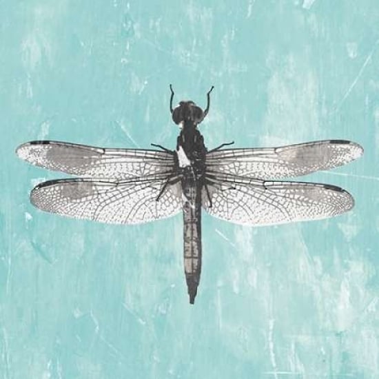 Dragonfly III Poster Print by PI Galerie-VARPDXPU031A Image 1