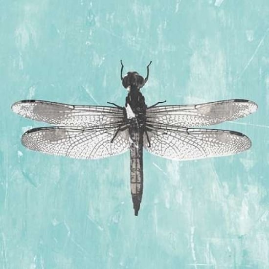 Dragonfly III Poster Print by PI Galerie-VARPDXPU031A Image 2