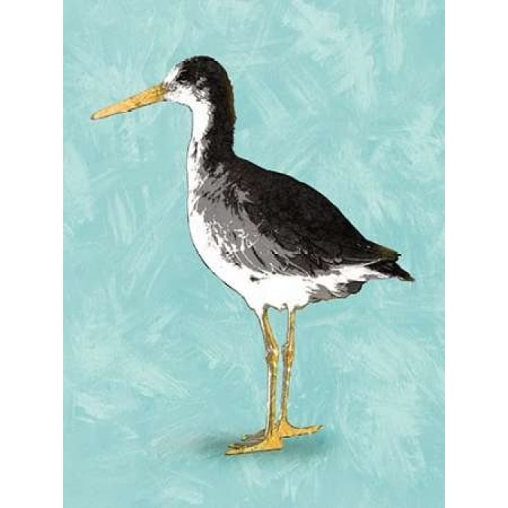 Seashore Bird III Poster Print by PI Galerie-VARPDXPU034A Image 2