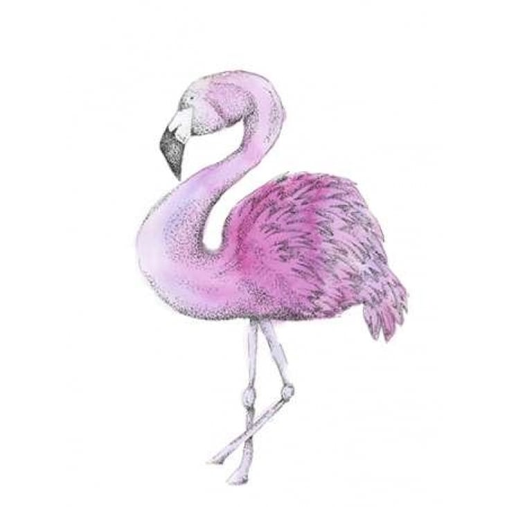 Flamingo Poster Print by Pam Varacek-VARPDXPVRC042A Image 2