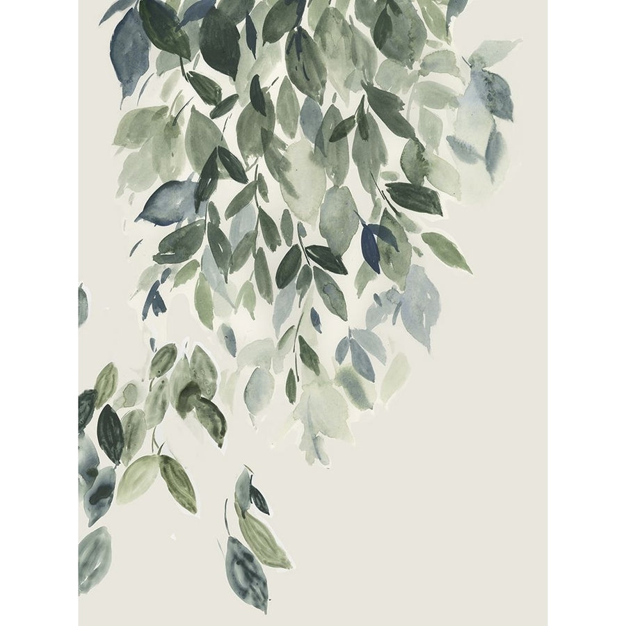 Birch Leaves In Spring Poster Print - Studio PI-VARPDXPW680A Image 1