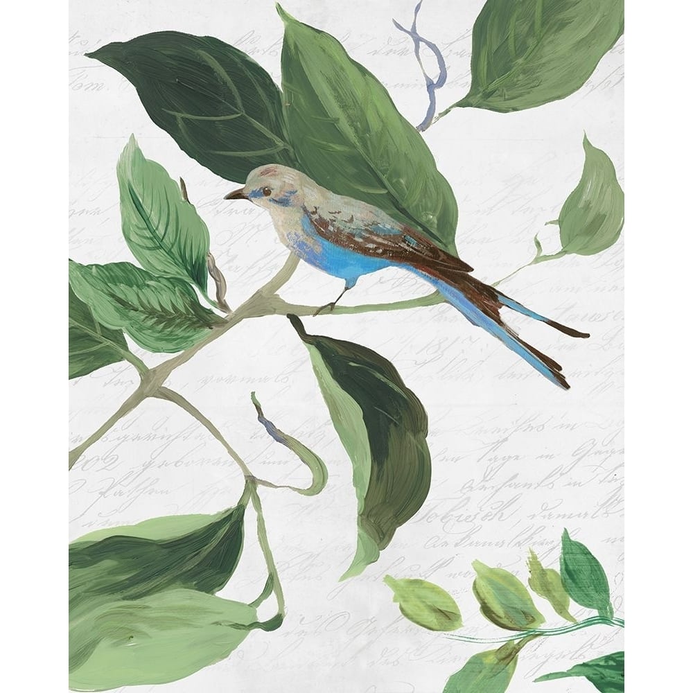 Spring Bird I Poster Print - Studio PI-VARPDXPW813A Image 1