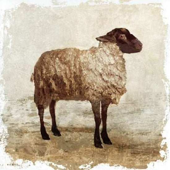 Sheep white border Poster Print by PI Studio-VARPDXPX109A Image 2