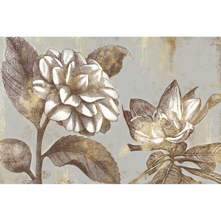 Magnolia Blooms Poster Print by PI Studio-VARPDXPX267A Image 1