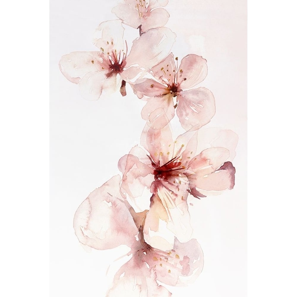 Watercolor Blossoms III Poster Print by PI Studio-VARPDXPX353A Image 1