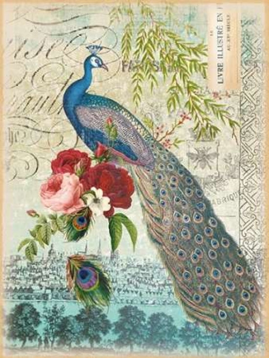 Peacock 1 Poster Print by Ophelia and Co-VARPDXQCARC009A Image 1