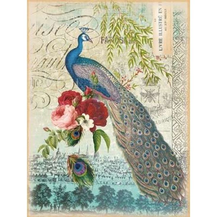 Peacock 1 Poster Print by Ophelia and Co-VARPDXQCARC009A Image 2