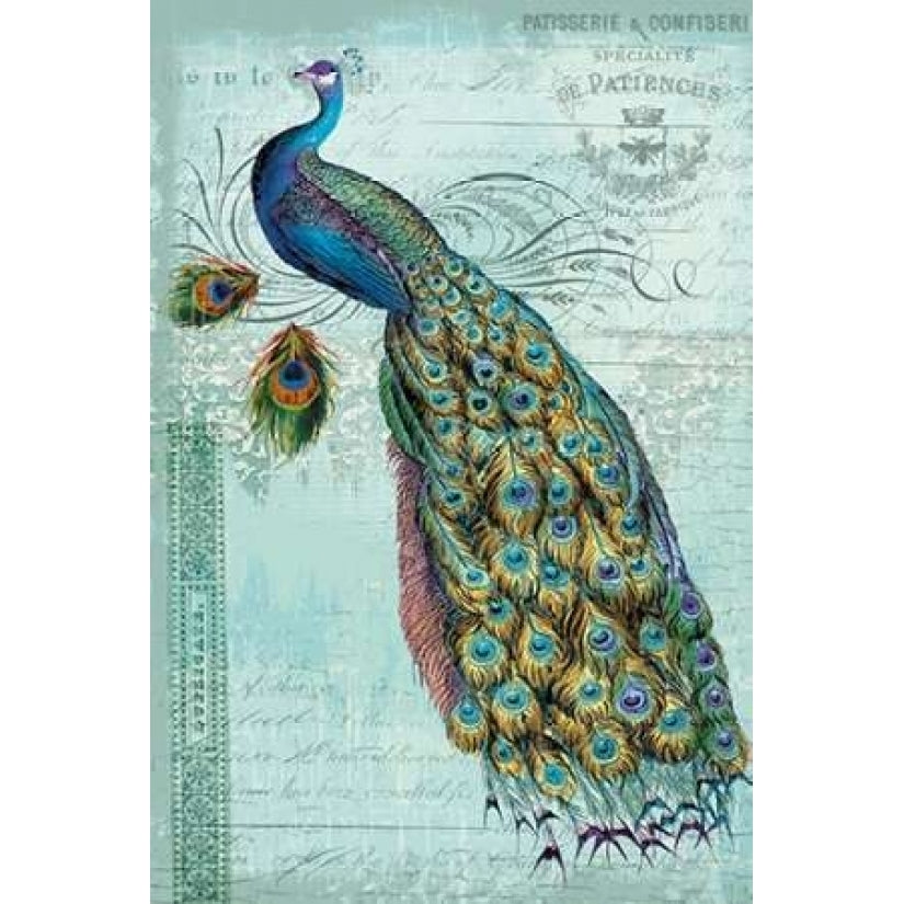 Peacock Teal Nouveau 1 Poster Print by Ophelia and Co-VARPDXQCARC012D Image 1