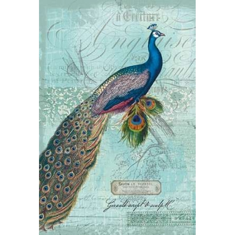 Peacock Nouveau Poster Print by Ophelia and Co-VARPDXQCARC012E Image 2